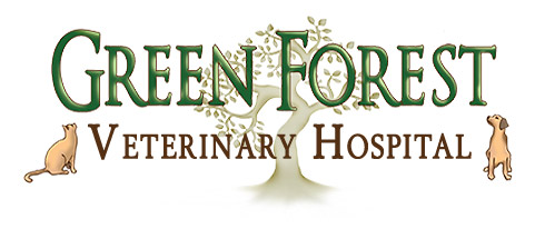 Green Forest Veterinary Hospital